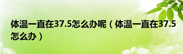 體溫一直在37.5怎么辦呢（體溫一直在37.5怎么辦）