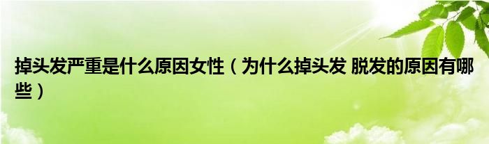 掉頭發(fā)嚴重是什么原因女性（為什么掉頭發(fā) 脫發(fā)的原因有哪些）