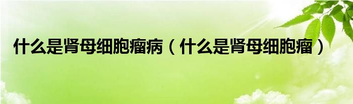 什么是腎母細(xì)胞瘤?。ㄊ裁词悄I母細(xì)胞瘤）