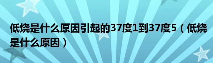 低燒是什么原因引起的37度1到37度5（低燒是什么原因）