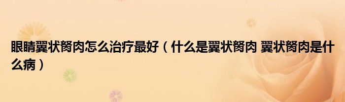 眼睛翼狀胬肉怎么治療最好（什么是翼狀胬肉 翼狀胬肉是什么?。?class='thumb lazy' /></a>
		    <header>
		<h2><a  href=