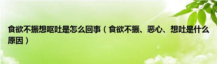 食欲不振想嘔吐是怎么回事（食欲不振、惡心、想吐是什么原因）