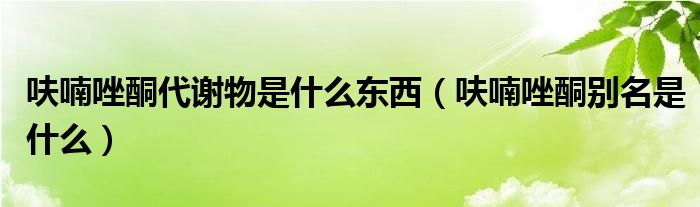 呋喃唑酮代謝物是什么東西（呋喃唑酮?jiǎng)e名是什么）