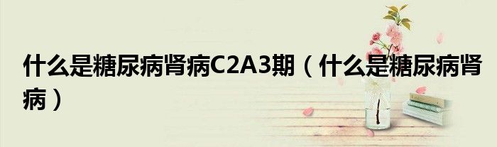 什么是糖尿病腎病C2A3期（什么是糖尿病腎?。?class='thumb lazy' /></a>
		    <header>
		<h2><a  href=