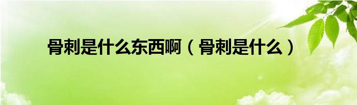 骨刺是什么東西?。ü谴淌鞘裁矗?class='thumb lazy' /></a>
		    <header>
		<h2><a  href=