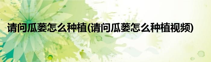 請問瓜蔞怎么種植(請問瓜蔞怎么種植視頻)