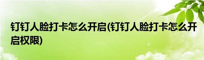 釘釘人臉打卡怎么開啟(釘釘人臉打卡怎么開啟權(quán)限)