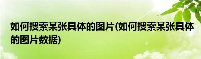 如何搜索某張具體的圖片(如何搜索某張具體的圖片數(shù)據(jù))