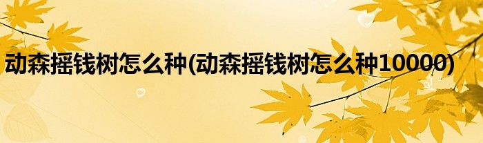 動森搖錢樹怎么種(動森搖錢樹怎么種10000)