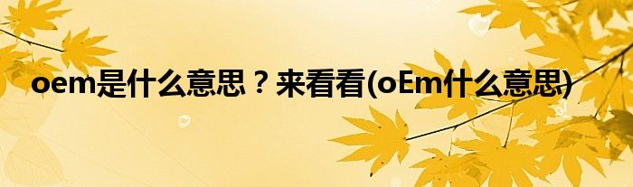 oem是什么意思？來看看(oEm什么意思)