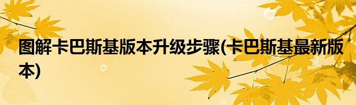 圖解卡巴斯基版本升級步驟(卡巴斯基最新版本)