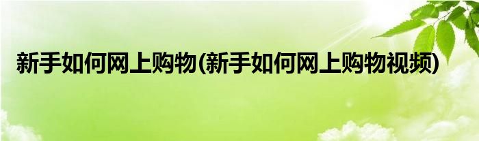 新手如何網(wǎng)上購(gòu)物(新手如何網(wǎng)上購(gòu)物視頻)