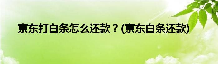 京東打白條怎么還款？(京東白條還款)