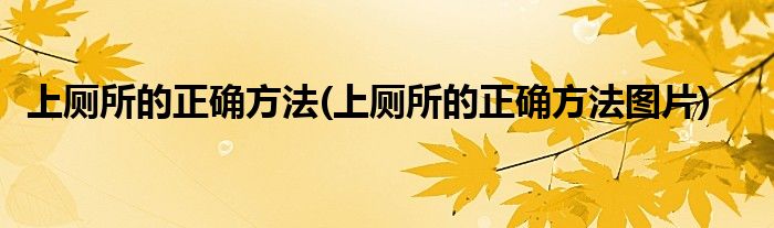 上廁所的正確方法(上廁所的正確方法圖片)