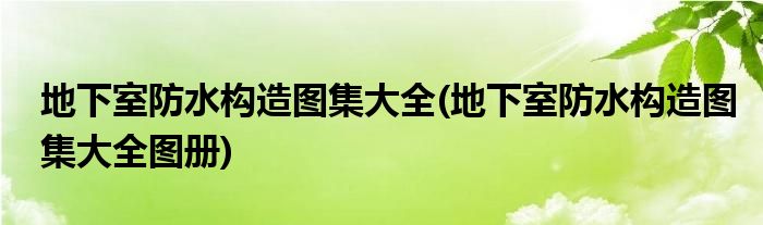 地下室防水構(gòu)造圖集大全(地下室防水構(gòu)造圖集大全圖冊(cè))