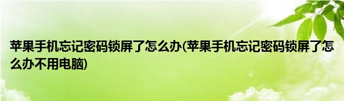 蘋果手機(jī)忘記密碼鎖屏了怎么辦(蘋果手機(jī)忘記密碼鎖屏了怎么辦不用電腦)