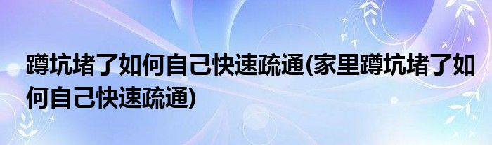 蹲坑堵了如何自己快速疏通(家里蹲坑堵了如何自己快速疏通)