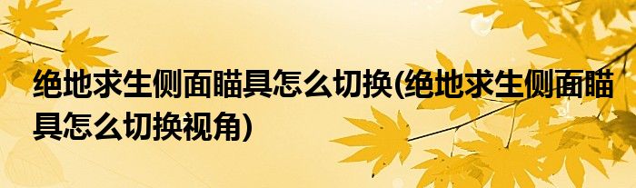 絕地求生側(cè)面瞄具怎么切換(絕地求生側(cè)面瞄具怎么切換視角)