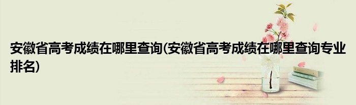 安徽省高考成績在哪里查詢(安徽省高考成績在哪里查詢專業(yè)排名)