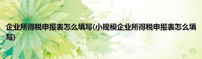 企業(yè)所得稅申報(bào)表怎么填寫(小規(guī)模企業(yè)所得稅申報(bào)表怎么填寫)