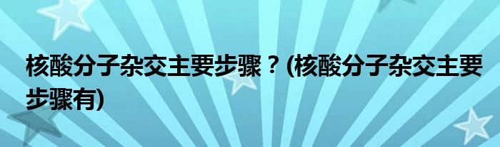 核酸分子雜交主要步驟？(核酸分子雜交主要步驟有)