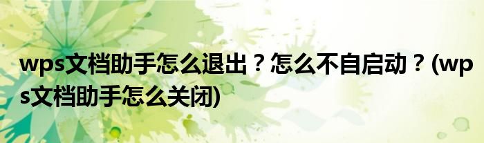 wps文檔助手怎么退出？怎么不自啟動(dòng)？(wps文檔助手怎么關(guān)閉)