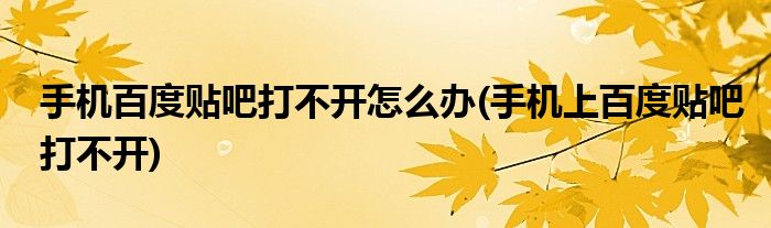 手機百度貼吧打不開怎么辦(手機上百度貼吧打不開)