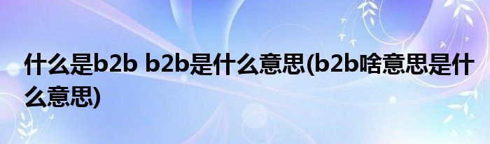 什么是b2b b2b是什么意思(b2b啥意思是什么意思)