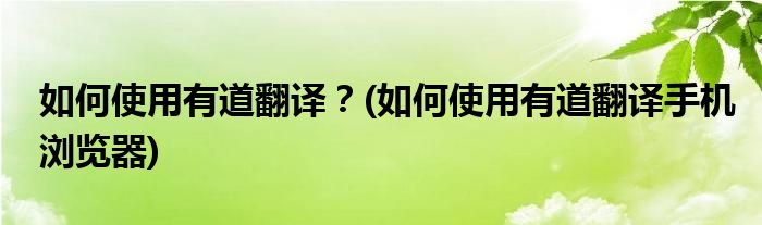 如何使用有道翻譯？(如何使用有道翻譯手機瀏覽器)