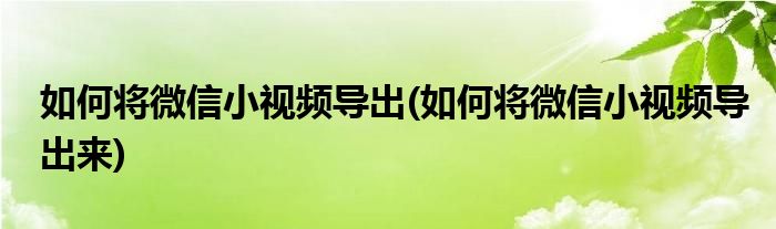 如何將微信小視頻導(dǎo)出(如何將微信小視頻導(dǎo)出來)