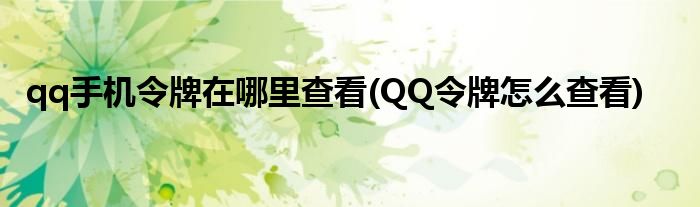 qq手機令牌在哪里查看(QQ令牌怎么查看)