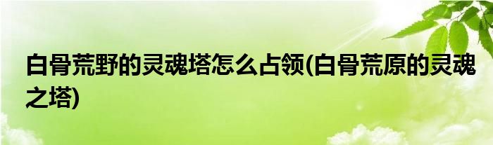 白骨荒野的靈魂塔怎么占領(白骨荒原的靈魂之塔)