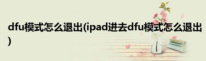 dfu模式怎么退出(ipad進(jìn)去dfu模式怎么退出)