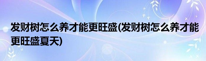 發(fā)財樹怎么養(yǎng)才能更旺盛(發(fā)財樹怎么養(yǎng)才能更旺盛夏天)