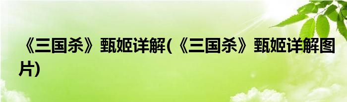 《三國殺》甄姬詳解(《三國殺》甄姬詳解圖片)