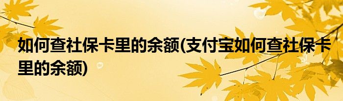 如何查社保卡里的余額(支付寶如何查社?？ɡ锏挠囝~)