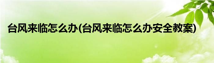 臺(tái)風(fēng)來臨怎么辦(臺(tái)風(fēng)來臨怎么辦安全教案)