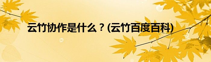 云竹協(xié)作是什么？(云竹百度百科)