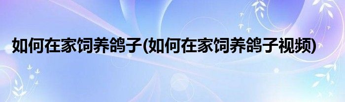 如何在家飼養(yǎng)鴿子(如何在家飼養(yǎng)鴿子視頻)