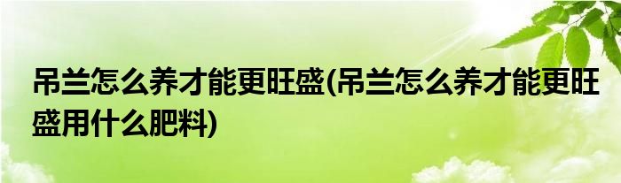 吊蘭怎么養(yǎng)才能更旺盛(吊蘭怎么養(yǎng)才能更旺盛用什么肥料)