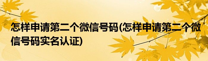 怎樣申請第二個微信號碼(怎樣申請第二個微信號碼實(shí)名認(rèn)證)