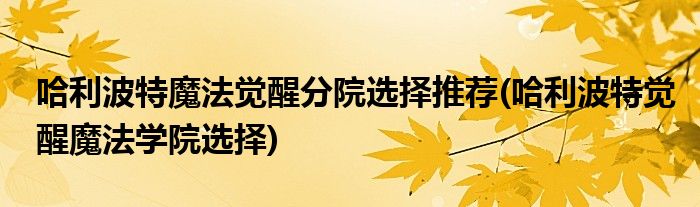 哈利波特魔法覺醒分院選擇推薦(哈利波特覺醒魔法學(xué)院選擇)