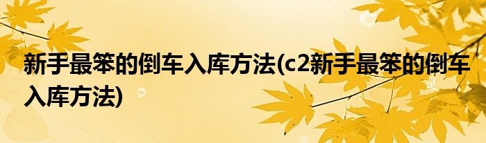 新手最笨的倒車入庫方法(c2新手最笨的倒車入庫方法)