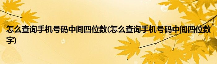 怎么查詢手機(jī)號(hào)碼中間四位數(shù)(怎么查詢手機(jī)號(hào)碼中間四位數(shù)字)