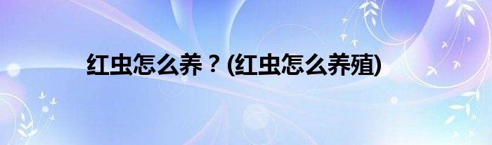 紅蟲(chóng)怎么養(yǎng)？(紅蟲(chóng)怎么養(yǎng)殖)