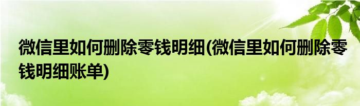 微信里如何刪除零錢明細(微信里如何刪除零錢明細賬單)