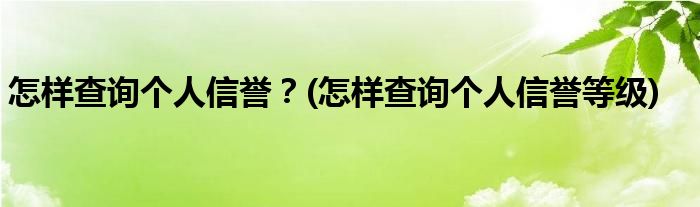 怎樣查詢(xún)個(gè)人信譽(yù)？(怎樣查詢(xún)個(gè)人信譽(yù)等級(jí))