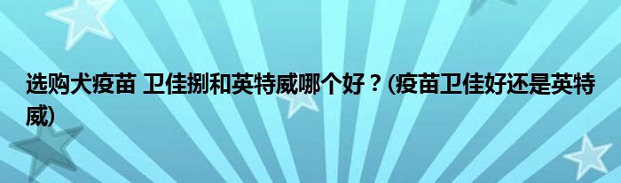 選購犬疫苗 衛(wèi)佳捌和英特威哪個好？(疫苗衛(wèi)佳好還是英特威)