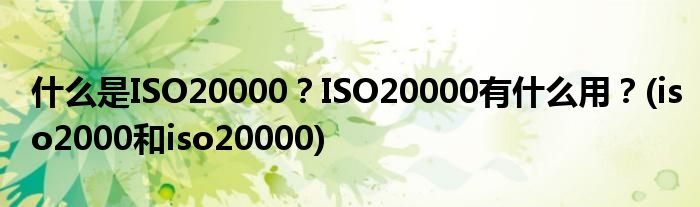 什么是ISO20000？ISO20000有什么用？(iso2000和iso20000)