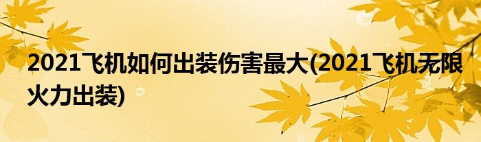 2021飛機(jī)如何出裝傷害最大(2021飛機(jī)無(wú)限火力出裝)